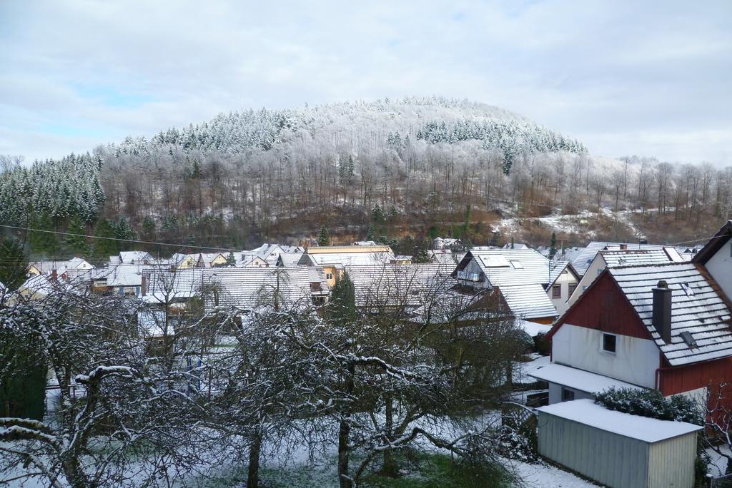Schwarzwald Domizil Uhlsberg Appartement Kippenheim Buitenkant foto