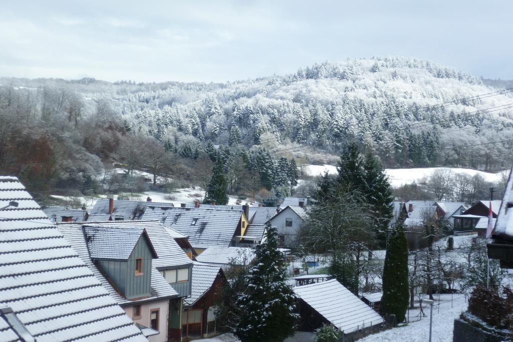 Schwarzwald Domizil Uhlsberg Appartement Kippenheim Kamer foto