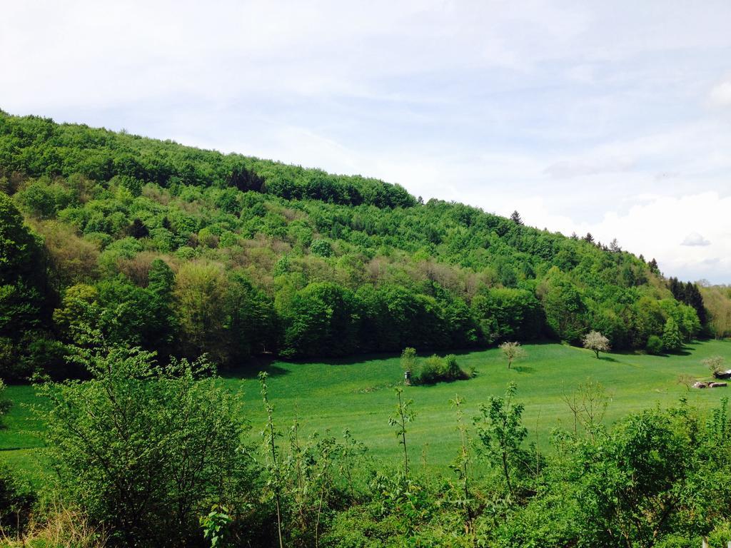 Schwarzwald Domizil Uhlsberg Appartement Kippenheim Buitenkant foto