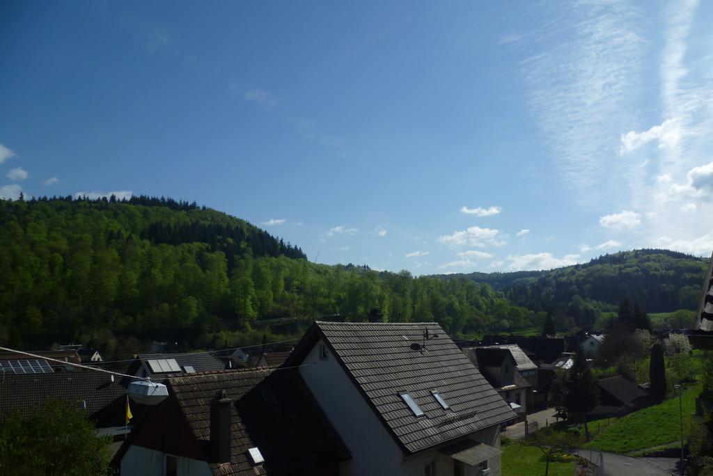 Schwarzwald Domizil Uhlsberg Appartement Kippenheim Kamer foto