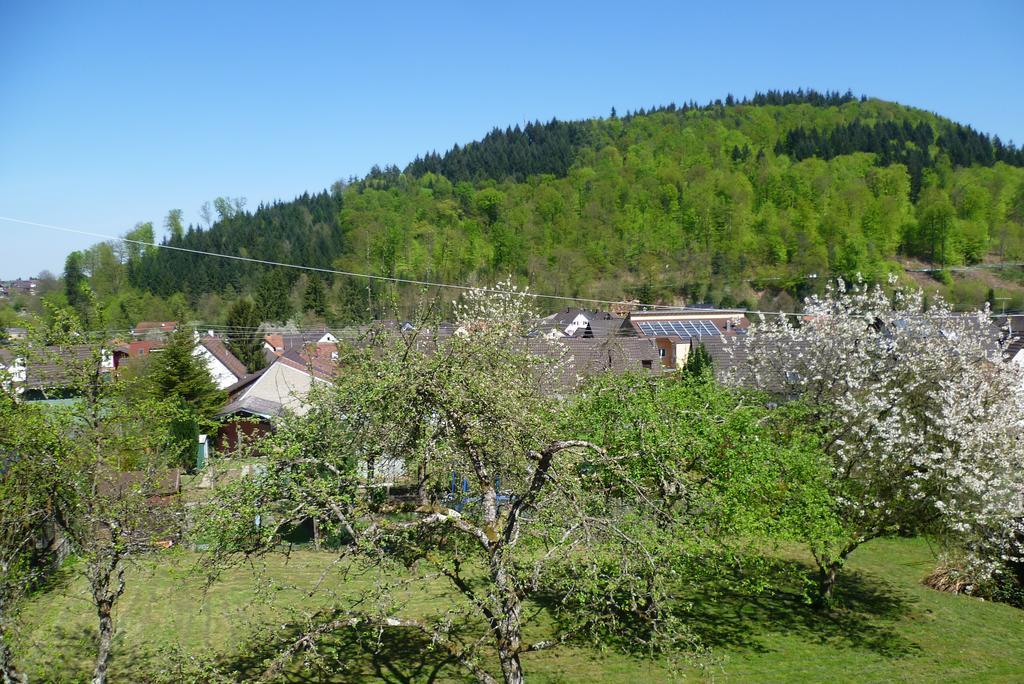 Schwarzwald Domizil Uhlsberg Appartement Kippenheim Kamer foto