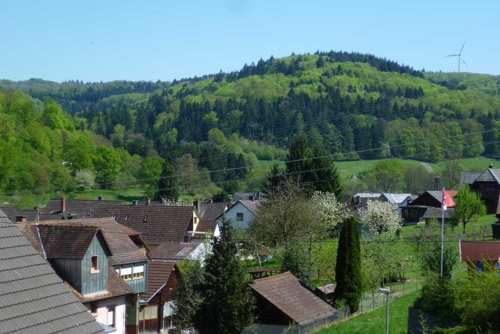 Schwarzwald Domizil Uhlsberg Appartement Kippenheim Kamer foto