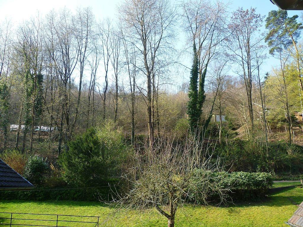 Schwarzwald Domizil Uhlsberg Appartement Kippenheim Buitenkant foto